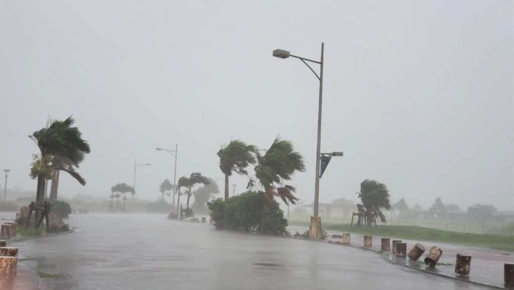 ゲリラ雷雨、猛暑、台風、