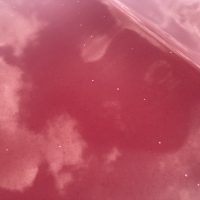 メルセデスベンツ、CLA、W117、ボンネット、トランクパネル、塗装浮き、剥離、凹み、修理、塗装、