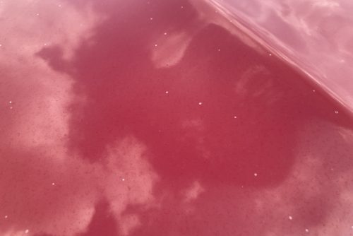 メルセデスベンツ、CLA、W117、ボンネット、トランクパネル、塗装浮き、剥離、凹み、修理、塗装、