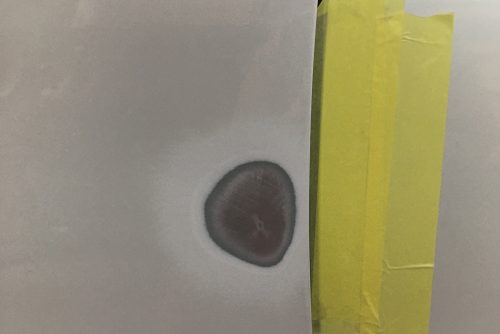 フォルクスワーゲン、ゴルフ、フロントドア、リアドア、凹み、修理、デカール、交換、